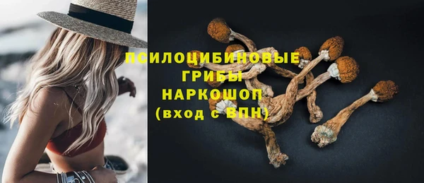 дурь Дмитровск