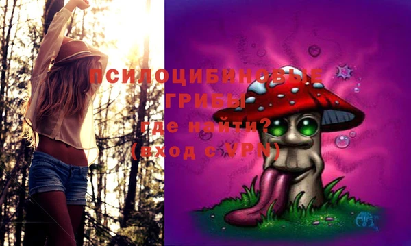 дживик Сковородино