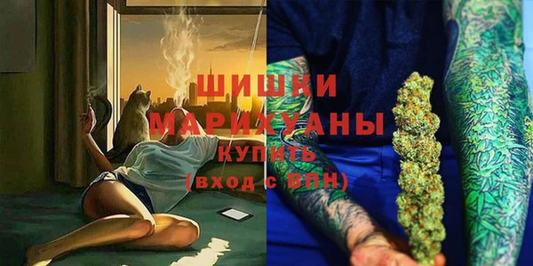 сатива Ахтубинск