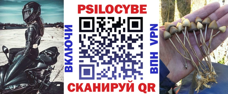 купить  цена  Жигулёвск  Псилоцибиновые грибы ЛСД 